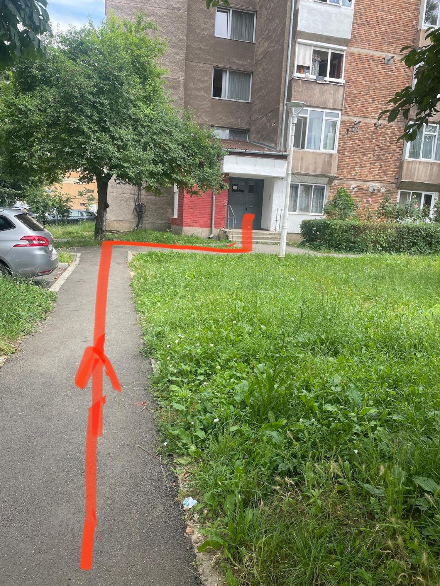 Central Studio Lcs Hunedoara Buitenkant foto